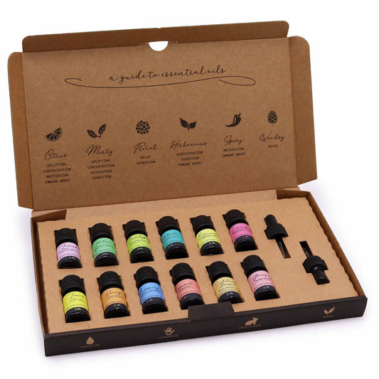 Set de Aceites Esenciales de Aromaterapia - The Top 12 Colección Premium